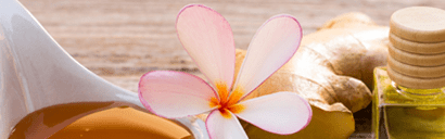 Orchidia Fragrances Ginger Zest Fragrance (ORC2100290) banner