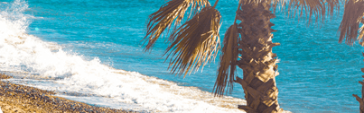 Orchidia Fragrances Beachside Fragnance (ORC2100695) banner