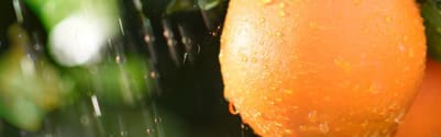 Orchidia Fragrances W.S. Dewy Fragrance (ORC1902013) banner