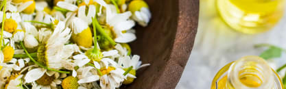 Orchidia Fragrances Natural Alboran Chamomile Fragrance (ORC2101880) banner
