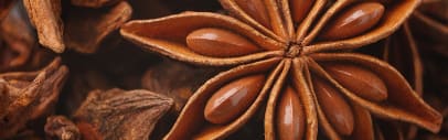 Flavorchem Anise Extract (Natural) (05.040) banner