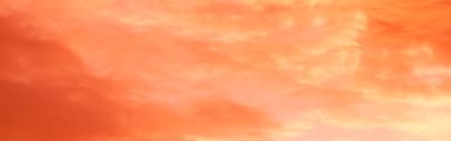 Orchidia Fragrances Sunkissed Fragrance (ORC2101560) banner