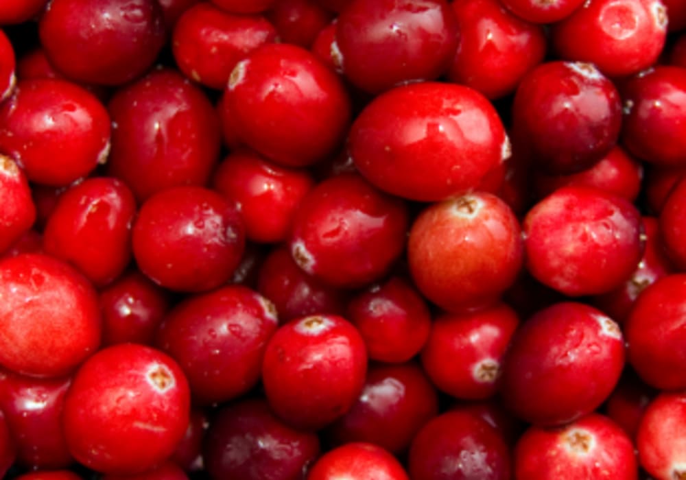 Cranberry Freeze-Dried Powder