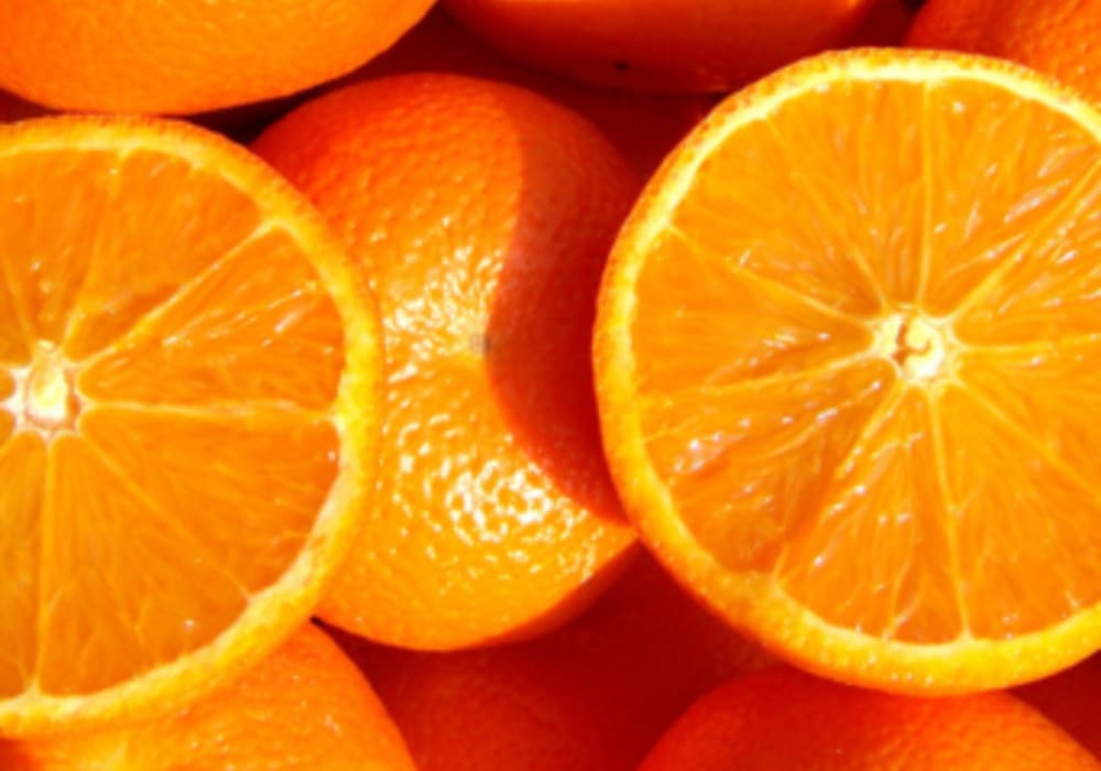 Orange Extract Powder