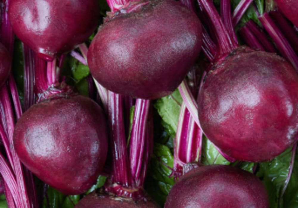 Beetroot Juice Powder