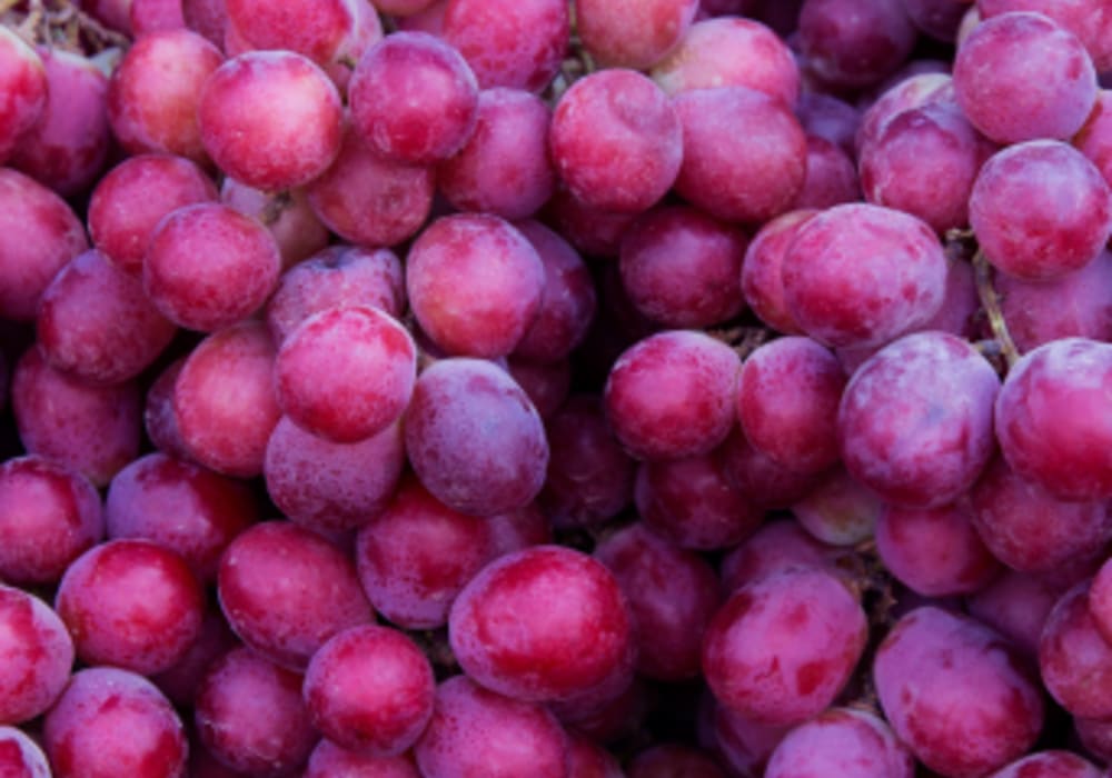 Grape Extract Powder