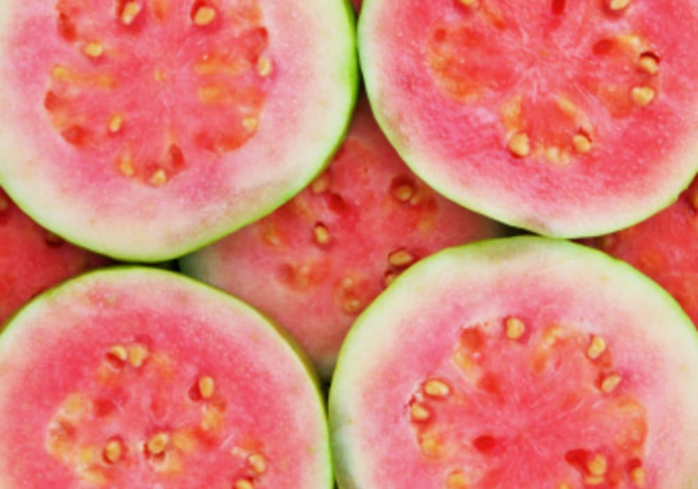 Guava Juice Powder