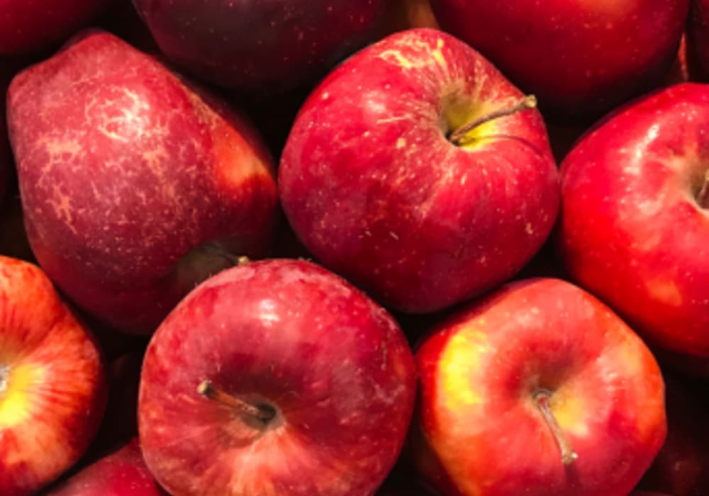 Apple Extract Powder
