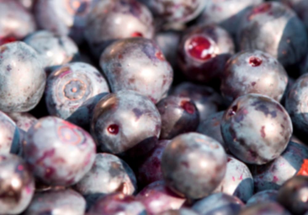 Maqui Berry Extract Powder