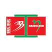 BUL BUL- Nassolkem Company Logo