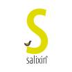 Salixin Company Logo
