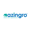 Azingro Company Logo