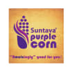 Suntava Company Logo
