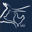 Smartfeeds Company Logo