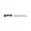 Wise Solutions Company Logo