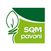 PAVONI & C SPA Company Logo