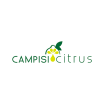 Campisi Citrus Company Logo