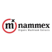 Nammex Company Logo
