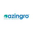 Azingro Company Logo