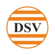 D.S.V. Chemicals Company Logo