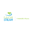 Flavourstream Americas Company Logo