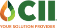 CII Company Logo