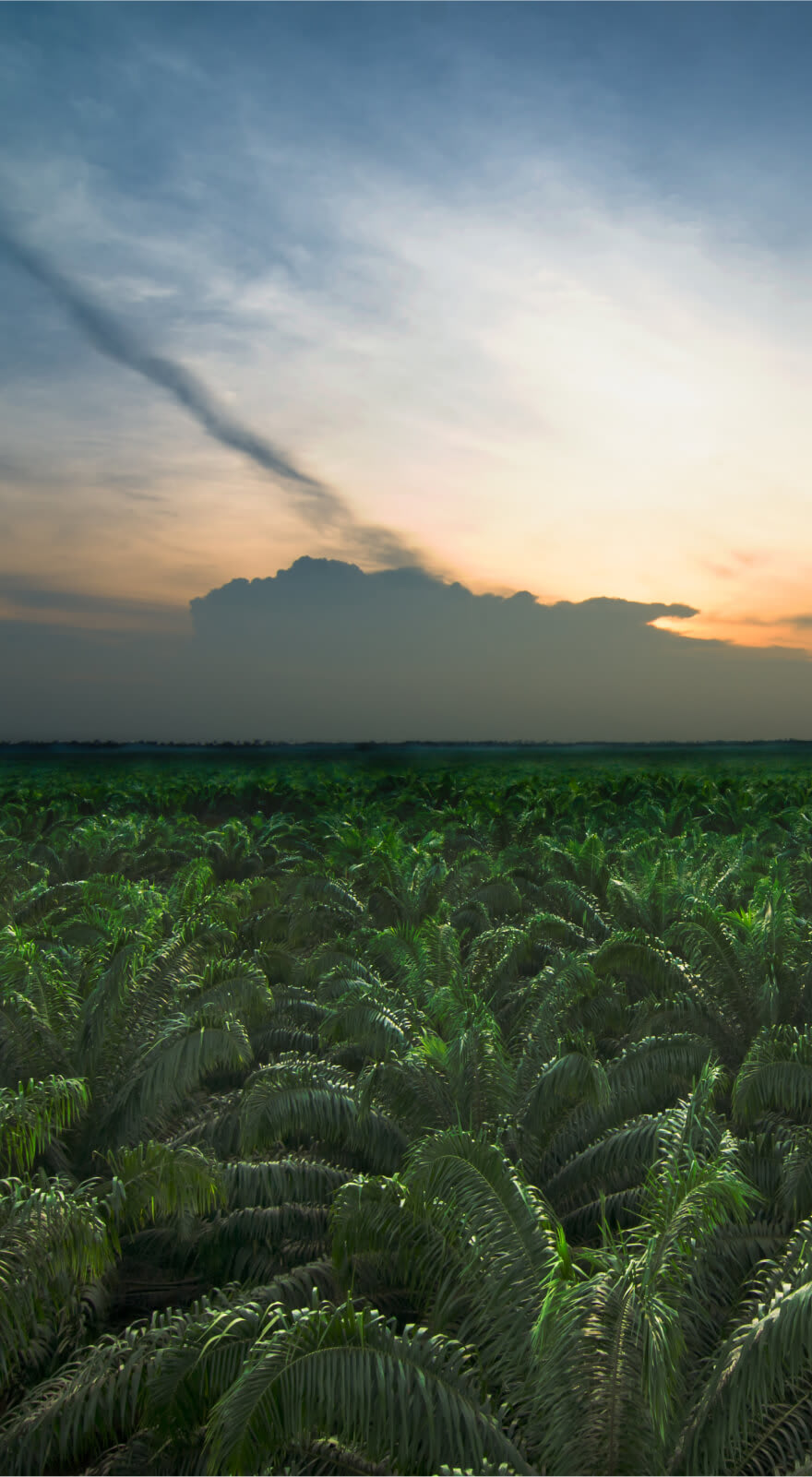 company tower banner