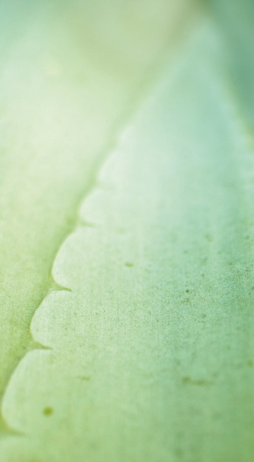 company tower banner