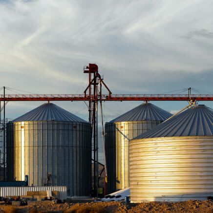 Cater Chemicals Potassium Nitrate-carousel-image