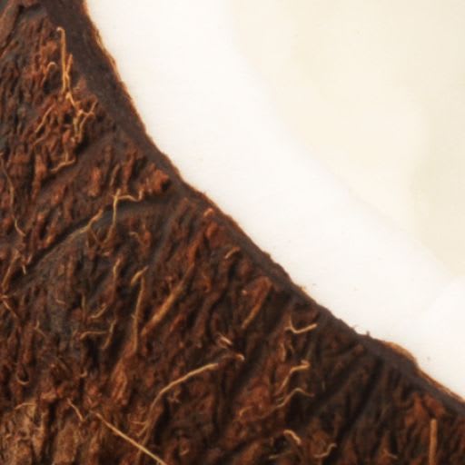 PRIMETIME Nat Coconut (toasted) Flavor WONF (BD-10764)-carousel-image