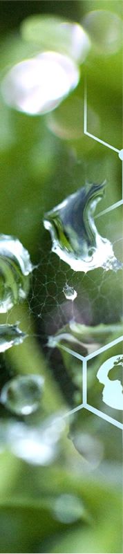 company tower banner