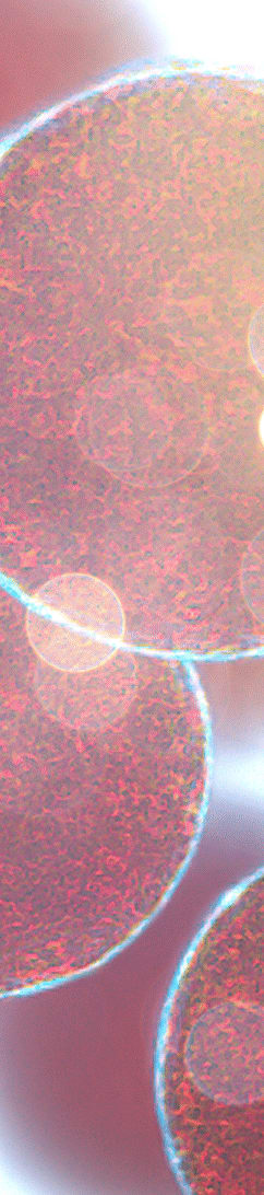 company tower banner