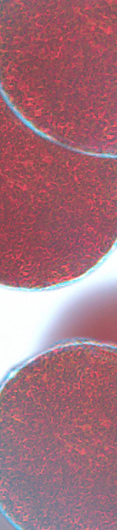 company tower banner