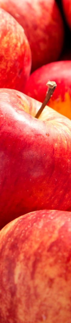 company tower banner