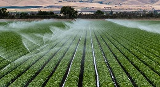 Irrigation & Sprinklers Banner