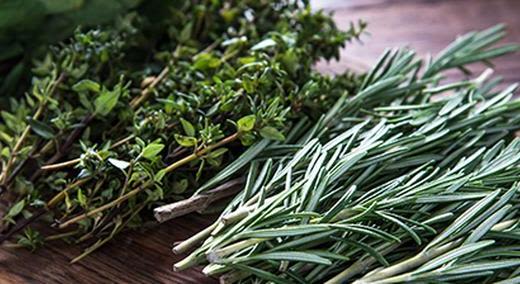 Plant & Herb Products & Extracts Banner