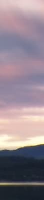 company tower banner