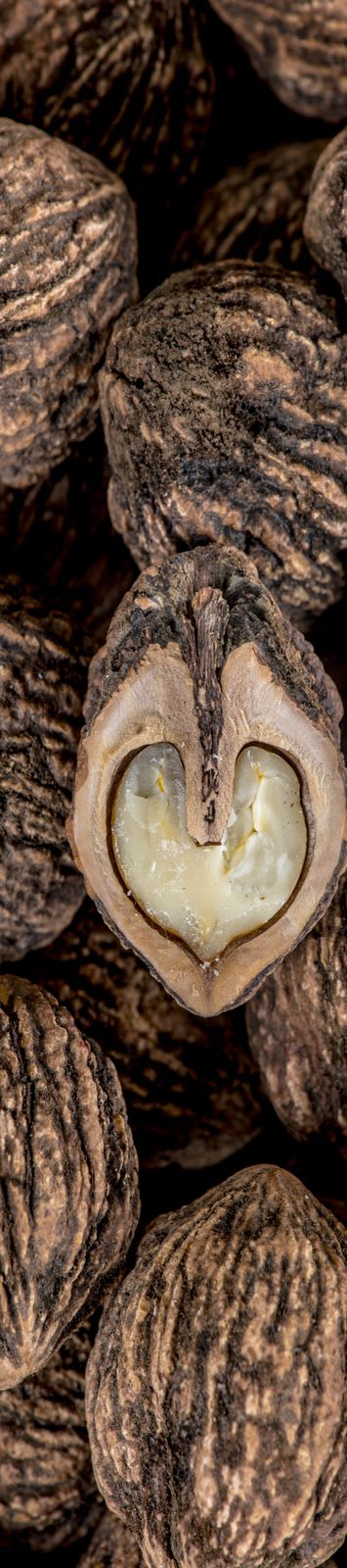 company tower banner