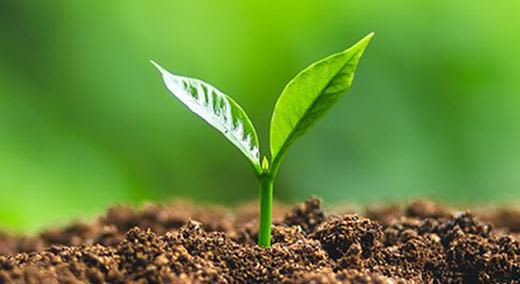 Plant Health, Nutrients & Soil Management Banner