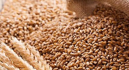 Flours & Grains Products Banner