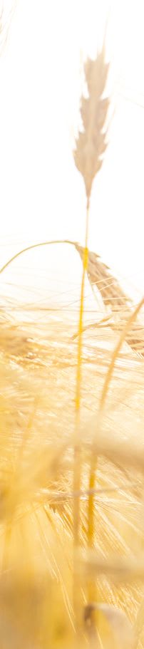 company tower banner