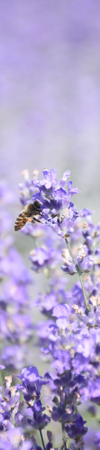 company tower banner