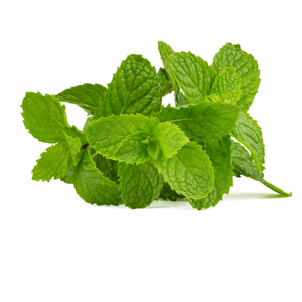 SARIS Peppermint Essential Oil (Mentha piperita)-carousel-image
