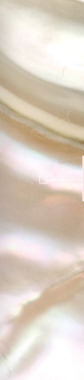 company tower banner
