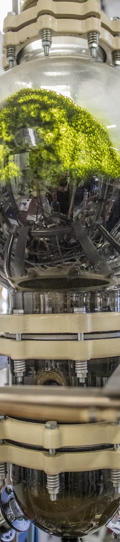 company tower banner