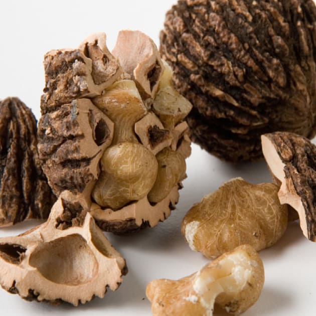 Hammons® Black Walnuts Fancy Large size-carousel-image