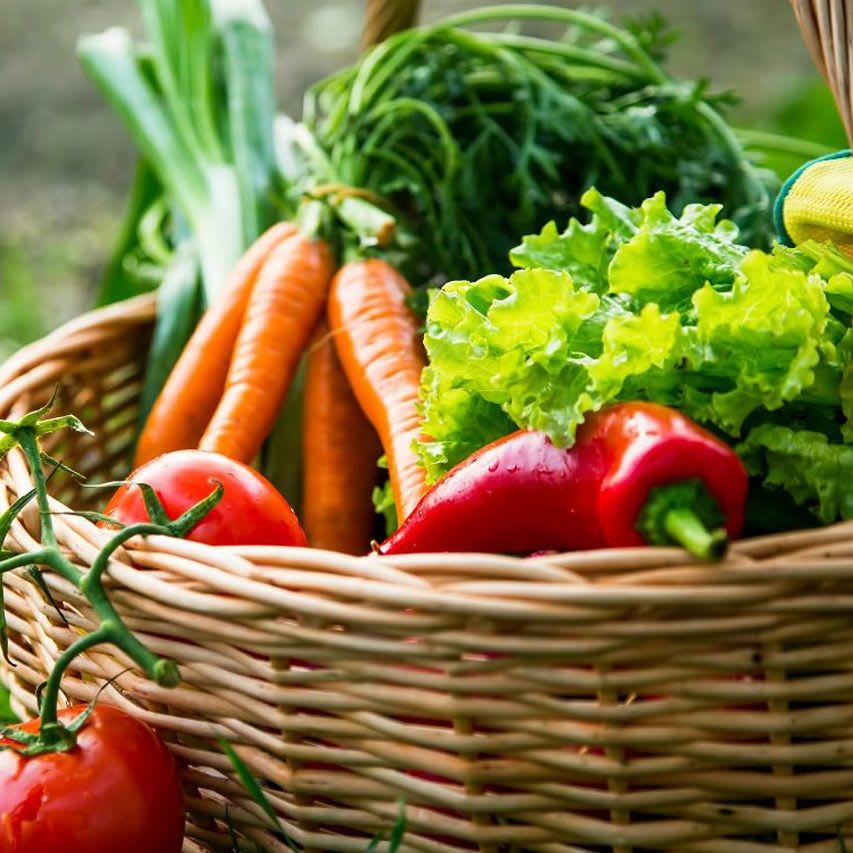 Ohtaka® Classic Powder-carousel-image