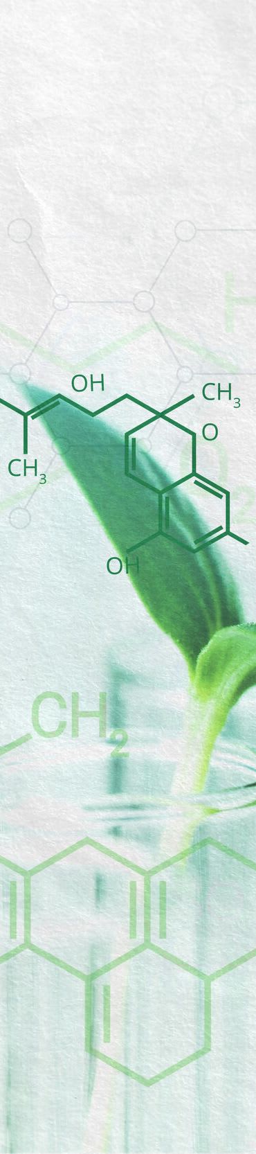 company tower banner