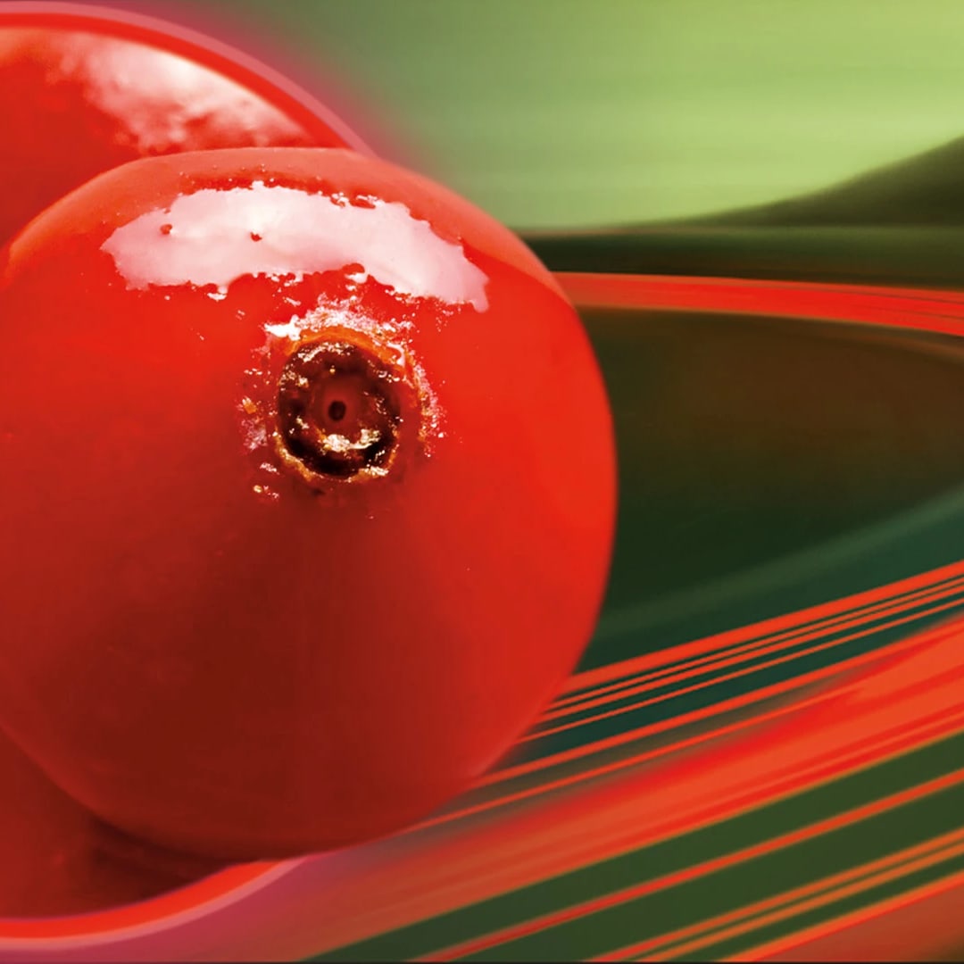Anthocran® Phytosome®-carousel-image