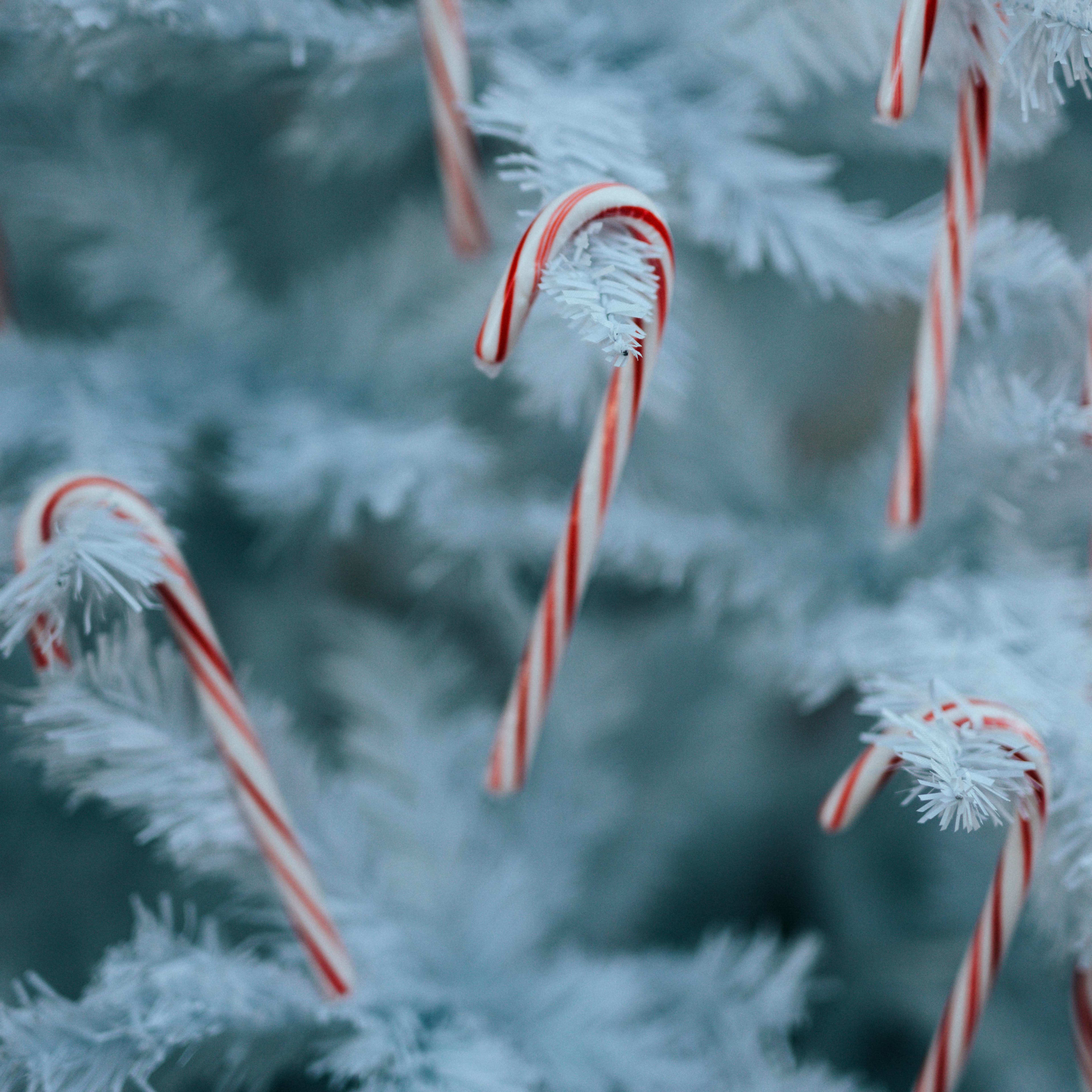 AFI Compare to Aroma Twisted Peppermint by BBW® F33543-carousel-image